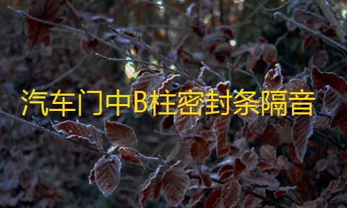 汽车门中B柱密封条隔音降噪橡胶条卡槽缝隙条防水通用加改装配件